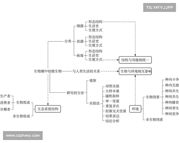 DK宏技术应用优化的五大策略及其提升效果解析 DK宏技术应用优化的五大策略及其提升效果解析