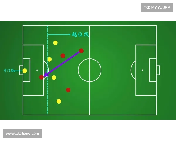 北美洲杯赛全解析：从基础规则到战术深度全面了解