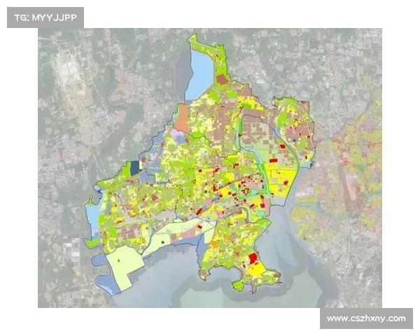 安联赞助商背景与战略解析：洞悉品牌联动与全球市场布局