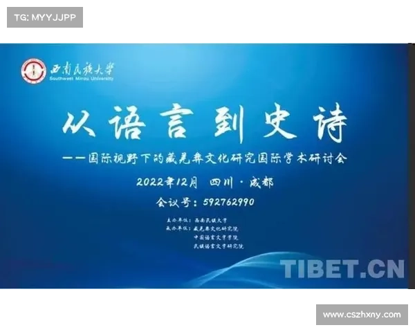 巴舒亚伊语言背景的五大要素及其对文化认同的深远影响分析